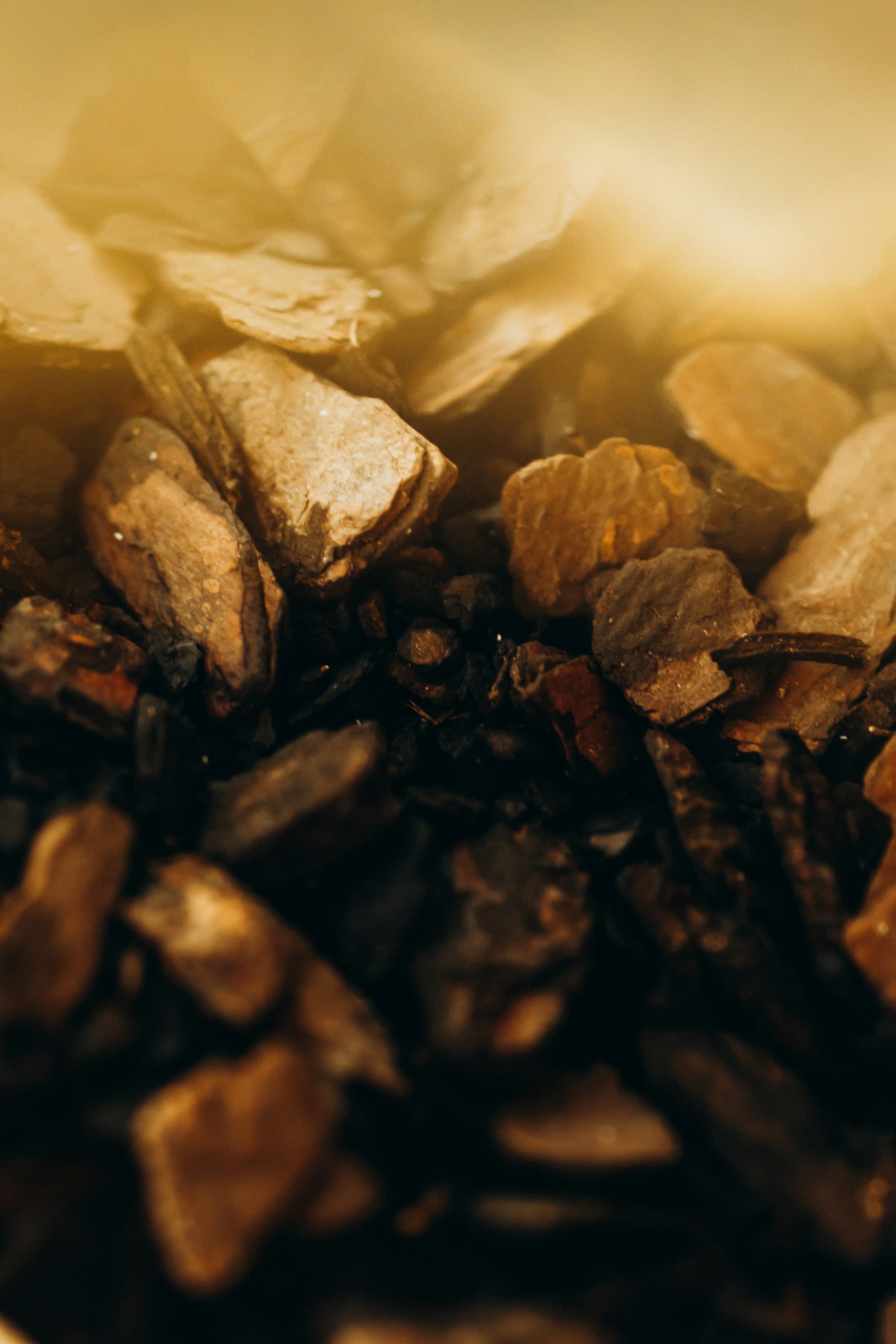 A macro close-up of chunky orchid bark and pumice, lit by warm directional light