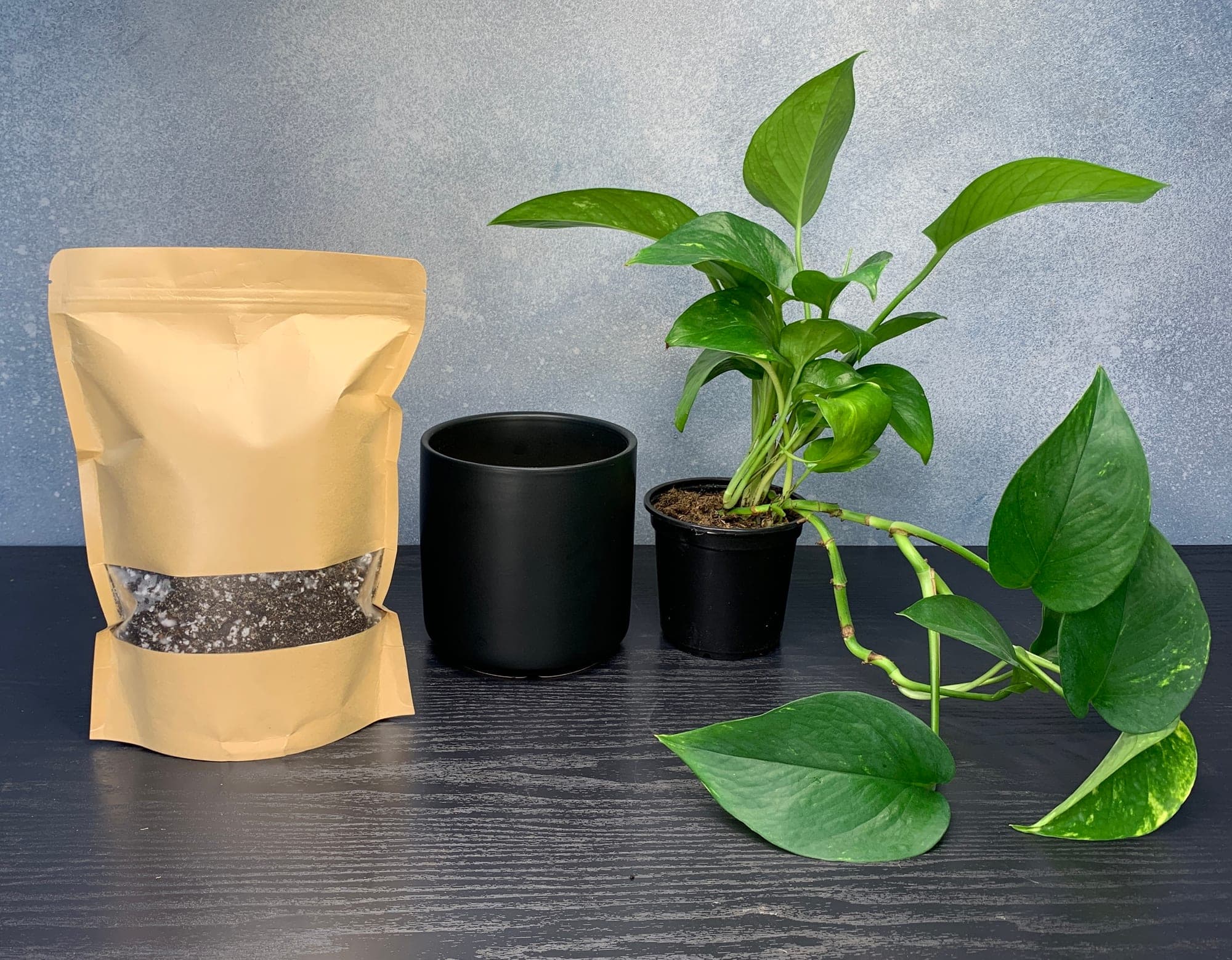 Aroid Mix bag, a 5-inch matte ceramic pot, and the 4-inch pothos laid out on a dark surface